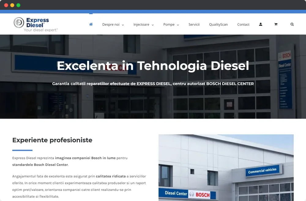 Express Diesel Website Mockup Portofoliu
